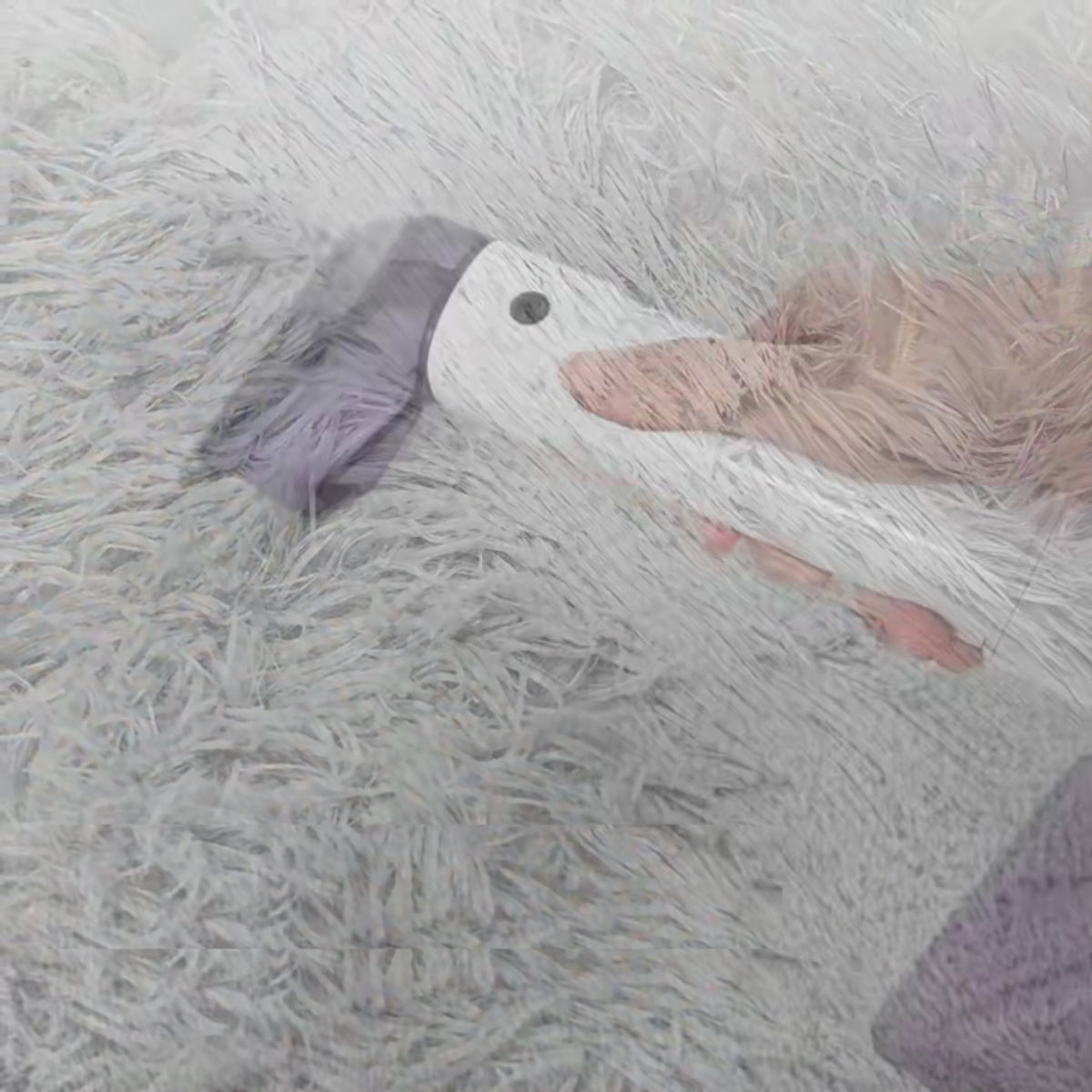 Vidéo